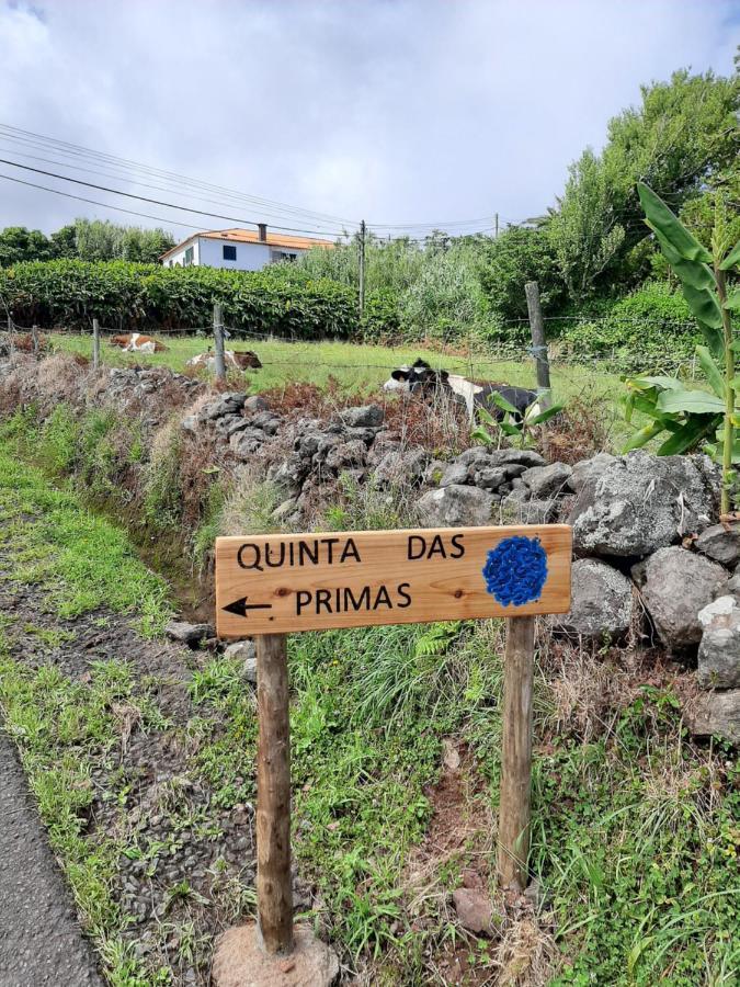 Quinta Das Primas Lomba  Εξωτερικό φωτογραφία