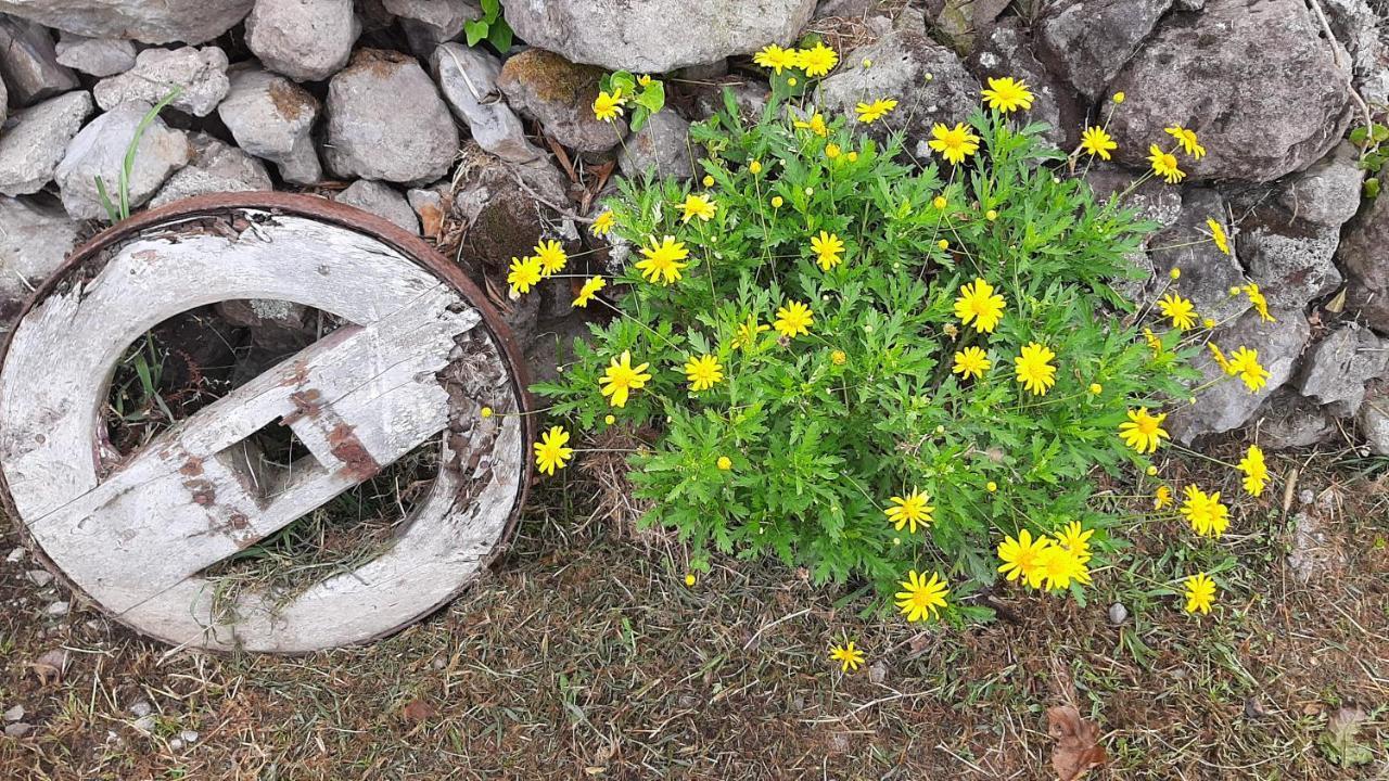 Quinta Das Primas Lomba  Εξωτερικό φωτογραφία